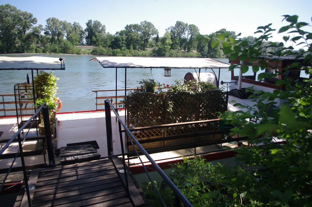 Peniche Le Hasard Bed & Breakfast Villeneuve-lès-Avignon Екстериор снимка